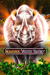 Majestic White Rhino