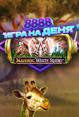 GOTD Majestic White Rhino